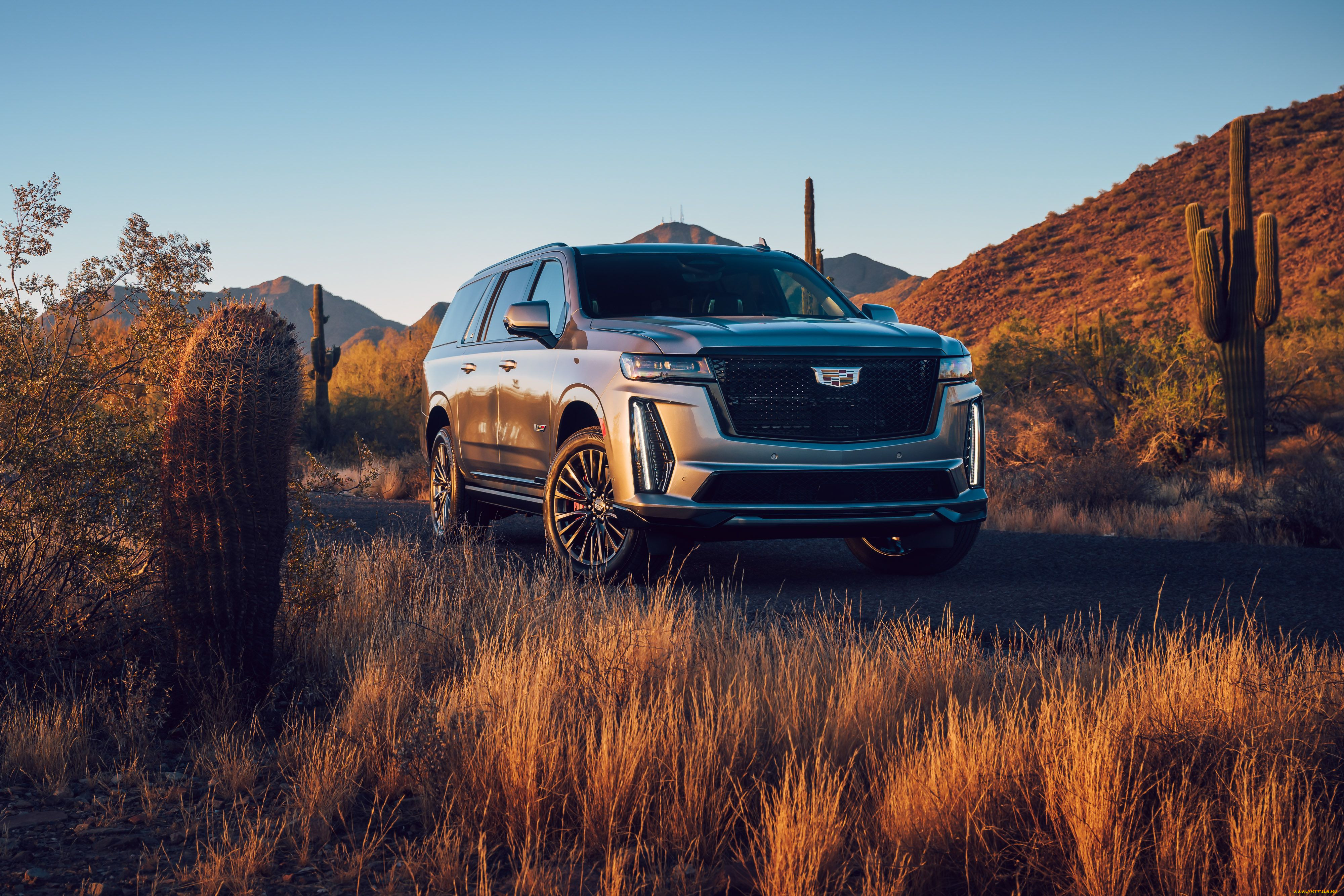 , cadillac